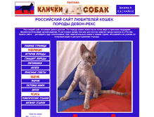 Tablet Screenshot of devonrex.ru